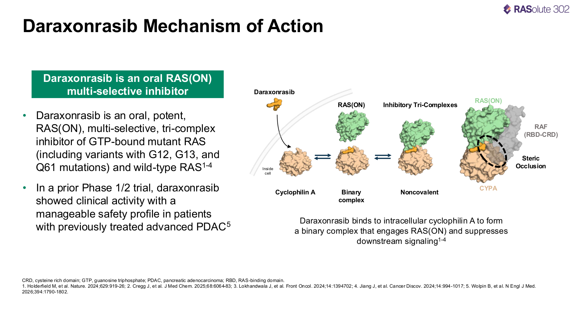 Daraxonrasib mechanism of action